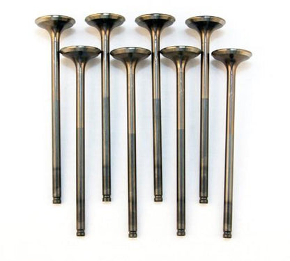 BLOX Racing High Compression Exhaust Valve Set for D-series SOHC VTEC (D16Z-Y) - Graveyard Performance