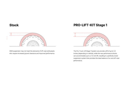 Eibach Pro-Truck Lift Kit for 2021+ Ford F-150 4WD 2.7L - Graveyard Performance