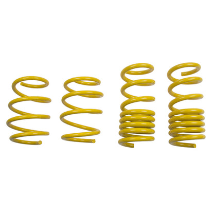 ST Lowering Springs Ford Mustang V8 - Graveyard Performance