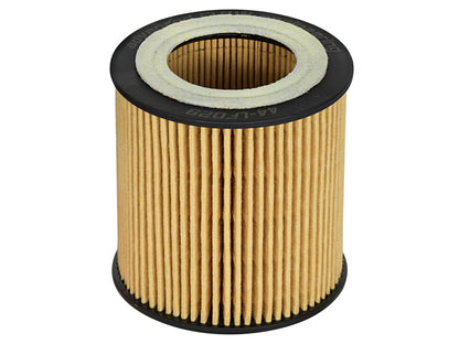 aFe Pro GUARD D2 Oil Filter 06-19 BMW Gas Cars L6-3.0T N54/55 - 4 Pack - Graveyard Performance