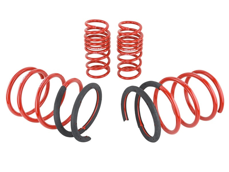 Skunk2 02-04 Acura RSX Lowering Springs (2.25in - 2.00in.) (Set of 4) - Graveyard Performance