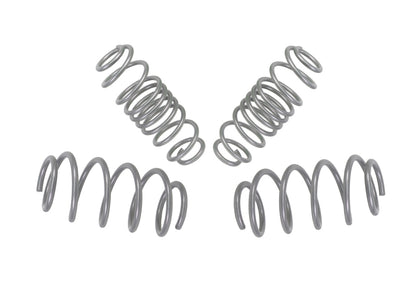 Whiteline 2011-2019 Ford Fiesta Performance Lowering Spring Kit - Ford Fiesta - Graveyard Performance