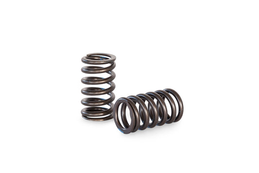 Kelford 4AGE 16V VALVE SPRINGS (PACALOY)