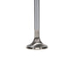 Manley 99-12 Ford 4.6L/281 5.4L/330 V8 37mm Race Series Stainless Steel Intake Valves (Set of 8)