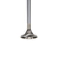 Manley Ford 4.6L Modular V8 Exhaust Valve Kit - 34.00mm Head Dia. 4.650in O/A Length, 0.2740in Stem