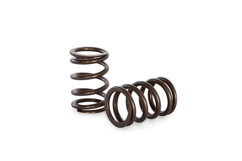 Kelford FORMULA FORD VALVE SPRING KIT