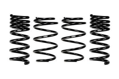 Eibach 24+ Ford Mustang GT Coupe 5.0L RWD S650 Performance Pack w/ Magneride - Graveyard Performance