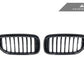 AutoTecknic Carbon Fiber Front Grille Set - G30 5-Series