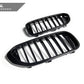 AutoTecknic Carbon Fiber Front Grille Set - G30 5-Series