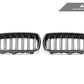 AutoTecknic Carbon Fiber Dual-Slats Front Grille Set - F15 X5 | F85 X5M & F16 X6 | F86 X6M