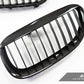 AutoTecknic Carbon Fiber Front Grille Set - E63/ E64 6-Series & M6