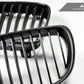 AutoTecknic Carbon Fiber Front Grille Set - E82/ E88 1-Series & 1M