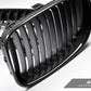 AutoTecknic Carbon Fiber Front Grille Set - E82/ E88 1-Series & 1M