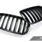 AutoTecknic Carbon Fiber Front Grille Set - E70 X5 / X5M | E71 X6 / X6M