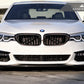 AutoTecknic Dry Carbon Fiber Front Grille Covers - G30 5-Series