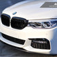 AutoTecknic Dry Carbon Fiber Front Grille Covers - G30 5-Series