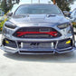 Ford Focus ST (2013-2018) Crash Bar