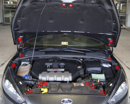 Ford Focus ST (2015-2018) Titanium Engine Bay Kit - Graveyard Performance