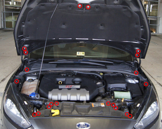 Ford Focus ST (2015-2018) Titanium Engine Bay Kit - Graveyard Performance