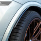 AutoTecknic Carbon Fiber Rear Splash Guards - F97 X3M | G01 X3
