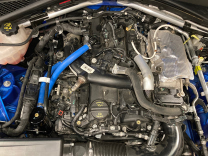 Damond Motorsports Alfa Romeo Giulia and Stelvio 2.0L Oil Catch Can kit