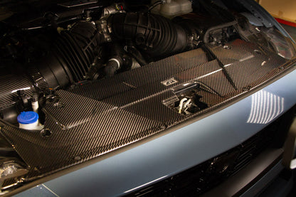 APR Performance Ford Mustang S650 Carbon Fiber Cooling Plate 2024 - Current