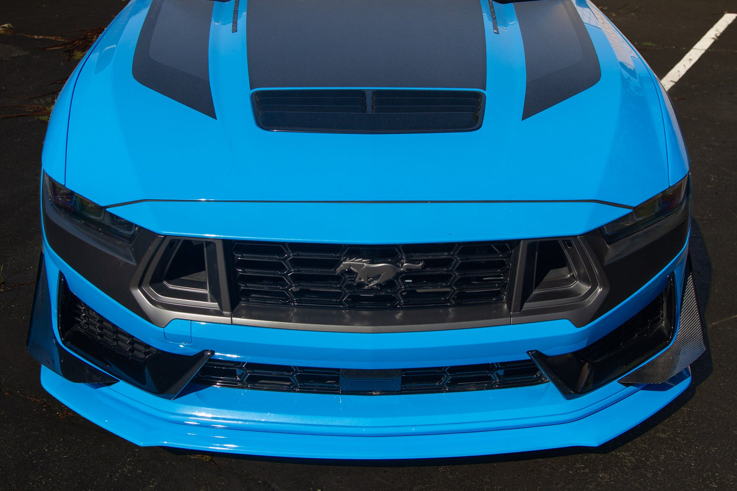 APR Performance Ford Mustang S650 Carbon Fiber Dark Horse Front Bumper Canards 2024 - Current (does not fit GT Bumper)