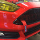Damond Motorsports-Focus ST Tow Strap- at Damond Motorsports