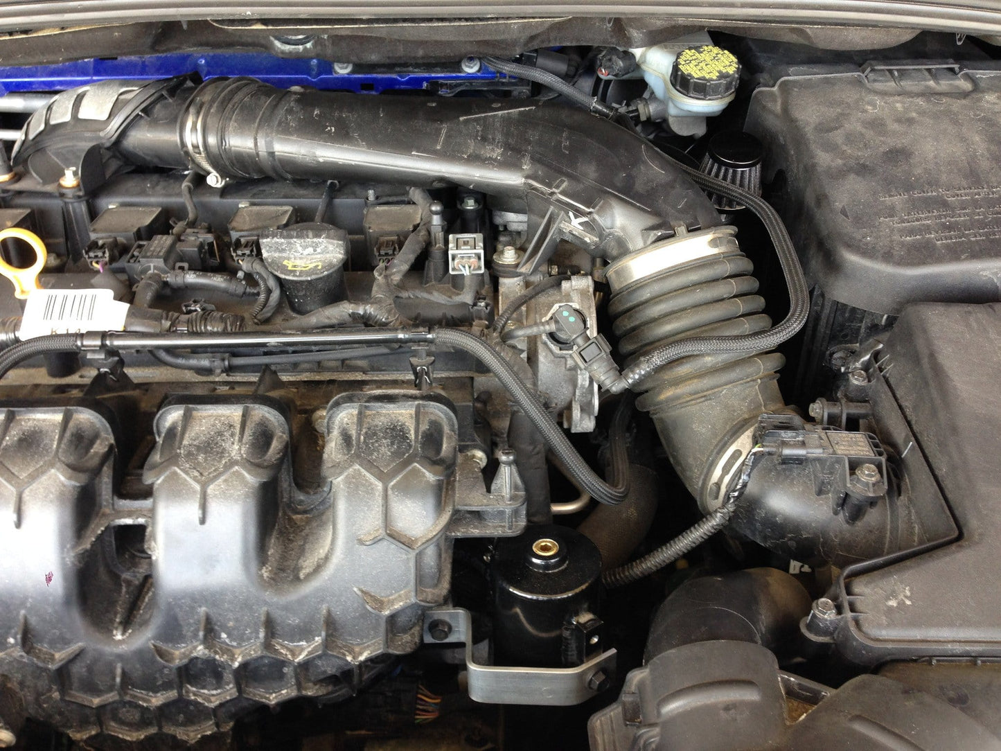 Damond Motorsports Focus ST Dual Oil Catch Can kit Stage 3