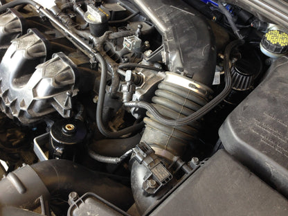 Damond Motorsports Focus ST Dual Oil Catch Can kit Stage 3