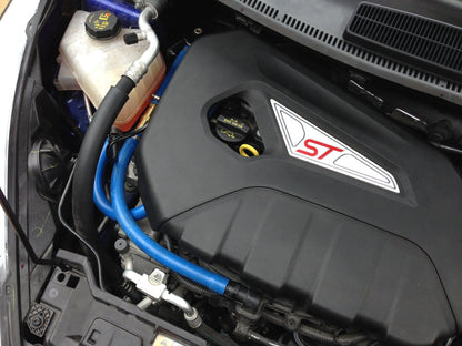 Fiesta ST Oil Catch Can kit