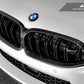 AutoTecknic Replacement Dry Carbon Grille Surround - F9X M8
