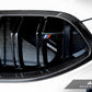 AutoTecknic Replacement Dry Carbon Grille Surround - F9X M8