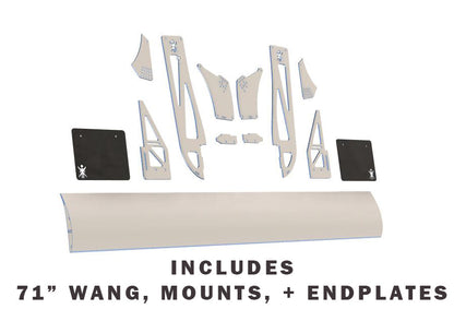 NLR Express wing kit for C5 and c6 corvettes. - Graveyard Performance