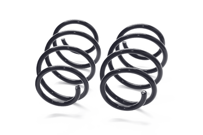 MMX Performance  MINI F-Chassis Lowering Spring Set