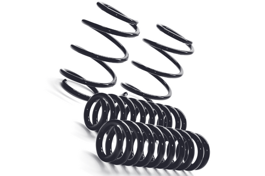 MMX Performance  MINI F-Chassis Lowering Spring Set