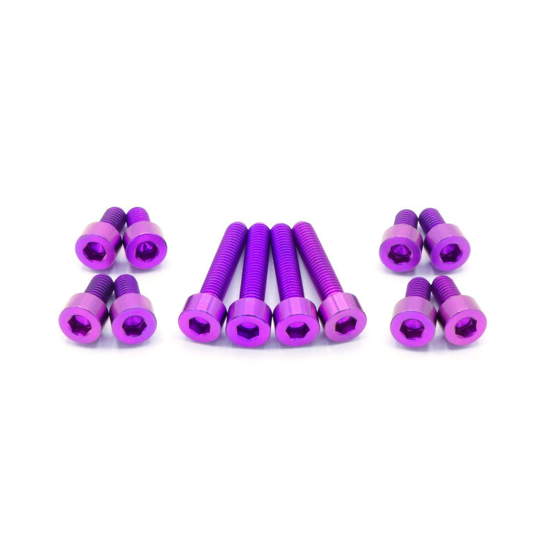Titanium Hardware Coil Pack Cover Kit - RB25 Engine - Graveyard Performance