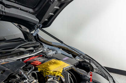 OLM Carbon Fiber Wrapped Hood Struts - 2017-2021 Honda Civic Type R - Graveyard Performance