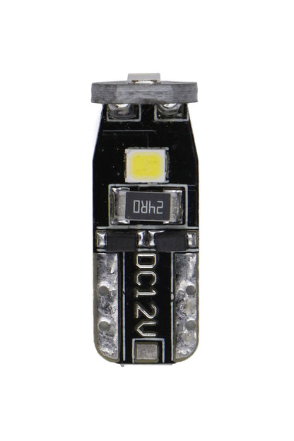 OLM Black Circuit N3 Bulb - Graveyard Performance