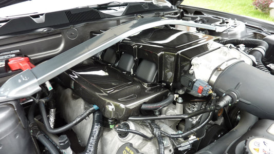 APR Performance Carbon Fiber Mustang Fuel Rail Covers 2005-2010