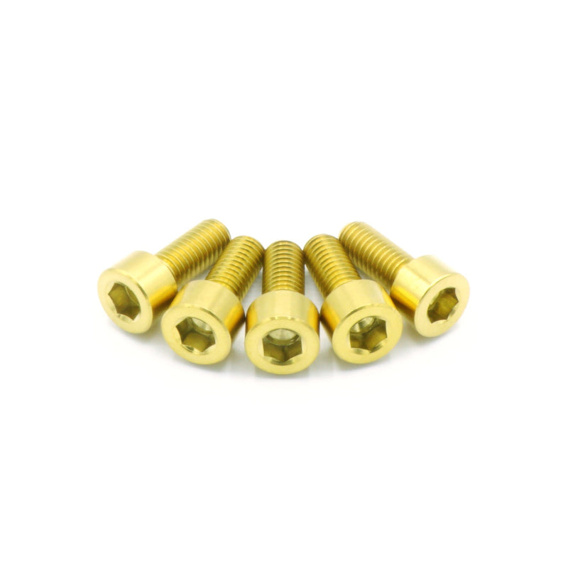 1JZ-GE / 2JZ-GE Titanium Timing Belt Cover Hardware Kit - Graveyard Performance