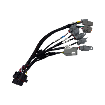 ReFlex+ Visconti S58/B58 Sequential Port Injection Wiring Kit - Graveyard Performance