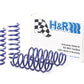 H&R 12-16 BMW M5 F10 Sport Spring