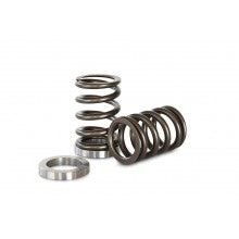 Kelford NISSAN RB25 RACE SPRING AND SEAT SET