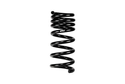 Eibach 24+ Ford Mustang GT Coupe 5.0L RWD S650 Performance Pack w/ Magneride - Graveyard Performance