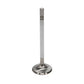 Manley Ford Racing Cylinder Head 4.6L & 5.4L SOHC 36.0mm Race Master Exhaust Valves *Set of 8*
