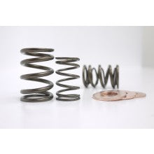 Kelford HONDA B18/B20B DUAL VALVE SPRING SET