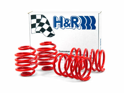 H&R 85-91 BMW 325e/325i/325is E30 Race Spring (Non Cabrio/Tuner Fitment) - Graveyard Performance