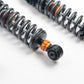 AST 5100 Series Shock Absorbers Coil Over Honda Civic Type R FK8