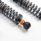 AST 5100 Series Shock Absorbers Coil Over Mitsubishi EVO 10